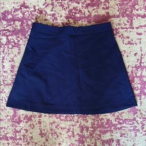 Express Blue A-Line Mini Skirt Casual
